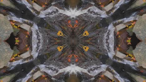 Nature-Kaleidoscope,-Looping,-60fps,-Wissahickon-Creek-Scenery-#45