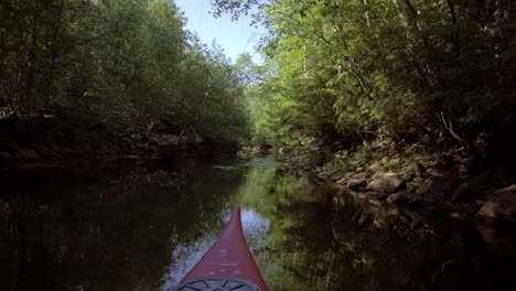 Red-kayak-paddling-down-narrow-overgrown-river-with-dense-tree-foliage