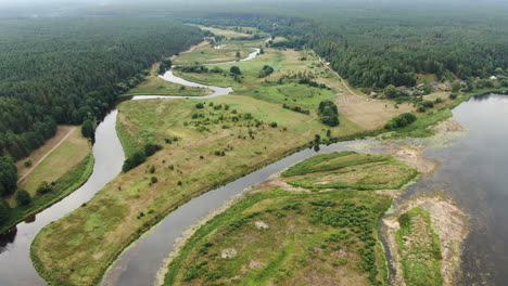 Nemunas-and-Merkys-river-confluence-near-town-of-Merkine,-aerial-drone-view