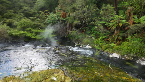 Idyllische-Aufnahme-Des-Baches-Im-Waimangu-tal,-Der-Den-Grünen-Dichten-Dschungel-In-Neuseeland-Bergab-Kocht-Und-Schwimmt