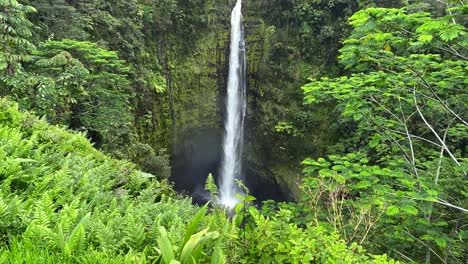 Impresionantes-Vistas-De-La-Cascada-Akaka-En-La-Isla-Grande-De-Hawaii-En-Una-Exuberante-Selva-Tropical-Verde-Vista-Desde-La-Ruta-De-Senderismo---Incline-Hacia-Abajo