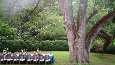 Pan-down-from-a-giant-tree-to-a-long-beautiful-table-setup-at-a-wedding-reception-under-string-lights