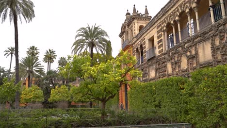 Slow-motion-reveal-inside-Seville-gardens-with-few-people-walking