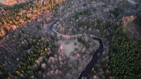 Winding-river-with-melt-water-reflects-the-tall-bare-thin-trees-and-green-conifers-in-a-large-forest-lit-by-the-setting-sun-in-Lithuania