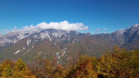 Aufschlussreiche-Herbstfarben-Von-Goldenen-Bäumen-Des-Wilden-Waldes-Mit-Alpengebirgshintergrund