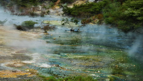 Panning-shot-of-boiling-volcanic-lake-in-National-Park-of-New-Zealand---Colorful-water-surface-in-nature