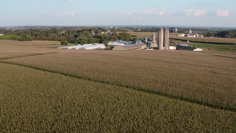 Fast-aerial-flight-over-corn-field