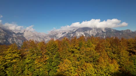 Tall-trees-with-colorful-leaves-and-the-high-Alps-mountain-in-background-covered-in-white-clouds-in-Autumn-in-Albania