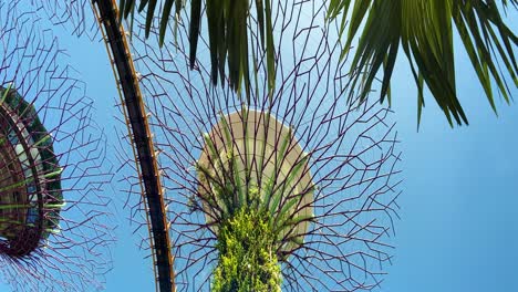 Supertrees-Hinter-Palmenblättern-Im-Klaren,-Blauen-Himmelshintergrund