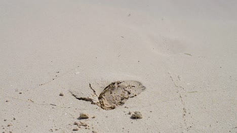 Footstep-on-the-sand-being-washed-out-by-a-wave-in-Cancun-Mexico