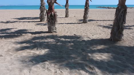 Shadows-of-palm-trees-are-displayed-on-a-sandy-beach-by-the-shore-of-the-Mediterranean-sea-in-Alicante,-Spain