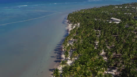 Tropical-palm-beach-coast-with-blue-sea-in-Punta-Cana,-drone-shot