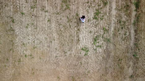 Young-pregnant-Woman-in-a-White-Summer-Dress-walking-down-a-field-for-a-Maternity-Photo-Shoot---Drone-Top-Down-View