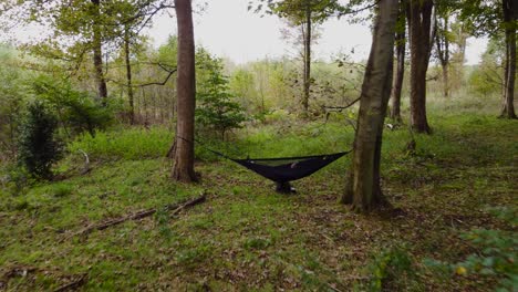 Person-relaxing-on-hammock-hanging-from-two-tree-in-a-woodland-forest,-dolly-shot