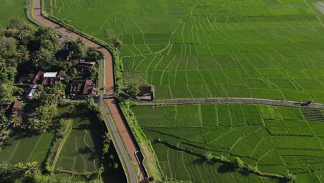 aerial-view,-Panorama-of-the-village-of-Nanggulan-which-looks-meandering-the-Mataram-river-and-the-expanse-of-rice-fields