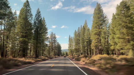Parabrisas-Pov-Conduciendo-En-Un-Bosque-Cerca-De-California---Frontera-De-Oregon