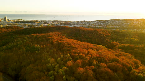 Gdynia,-Northern-Poland---Beautiful-Sunrise-Over-Autumn-Forest-Trees-With-Cityscape-In-Distant