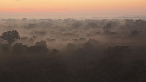 Langsam-Von-Links-Nach-Rechts-Schwenkendes-Tambopata-Nationalreservat,-Das-Im-Morgengrauen-Von-Nebel-Bedeckt-Ist