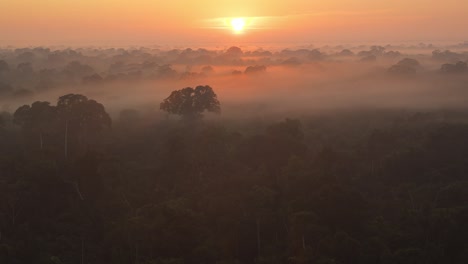 A-colorful-blanket-of-mist-covers-a-tropical-rainforest-during-a-sunrise,-pan-up-shot