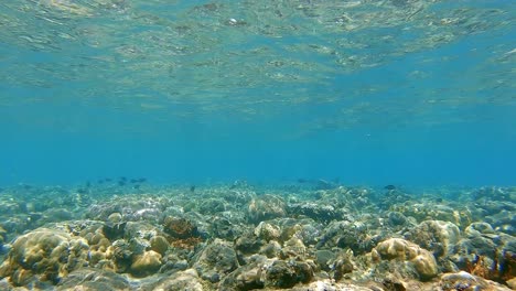 Ein-Flaches-Korallenriff-Mit-Reflexion-Auf-Dem-Wasserservice-Und-Licht-Und-Schatten,-Die-Auf-Dem-Riff-Tanzen