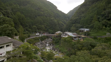 Seitlich-Treibende-Luftaufnahme-über-Baum-Und-Fluss-Im-Ländlichen-Japan-In-Der-Nähe-Der-Nakatsu-Schlucht