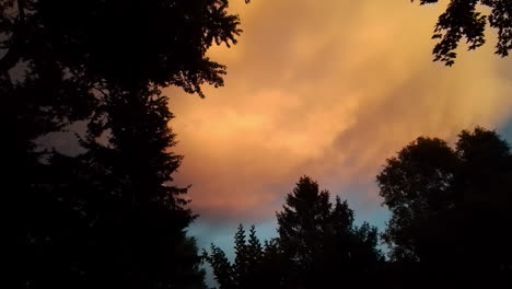 Gewitterwolken-Bei-Sonnenuntergang-Durch-Silhouettierte-Bäume-Gesehen