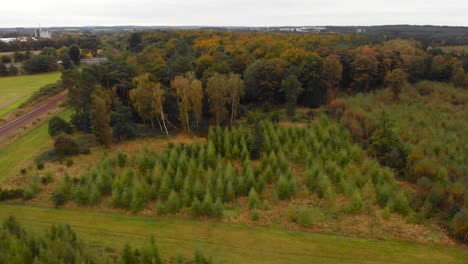 Aerial:-Autumn-in-a-woodland-forest-in-Thetford,-England---landscape-drone-flying-shot