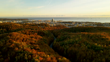 Exuberante-Bosque-Colorido-Al-Amanecer-Durante-La-Temporada-De-Otoño-En-Gdynia,-Polonia