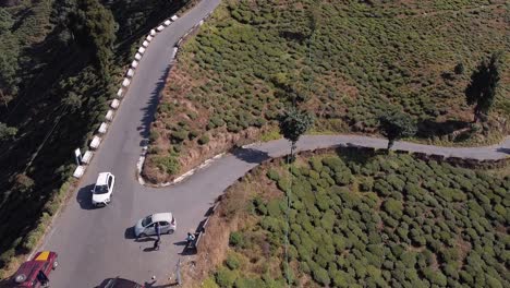 Top-down-drone-shot-of-roads-and-tea-garden-in-hills,-sunny-morning-in-hills,-slow-reveal-shot