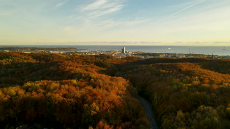 Panorama-Del-Bosque-De-Color-Rojo-Y-El-Paisaje-De-La-Ciudad-De-Gdynia-En-Polonia