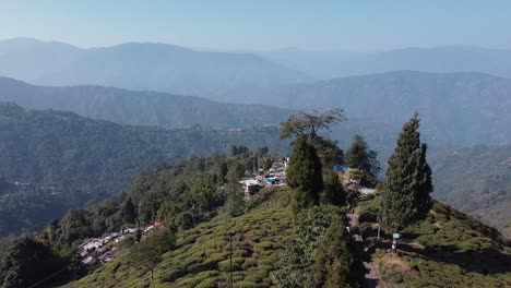 Aerial-shot-of-tea-garden-and-himalayas-mountain-range-in-background,-sunny-morning-in-hills