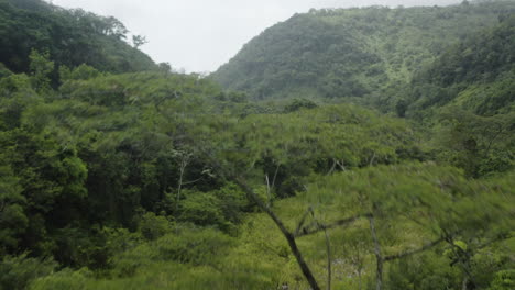 Panoramic-shot-of-Balneario-Mata-de-Maiz-landscape-in-Dominican-Republic