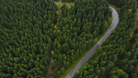 Luftaufnahme-Eines-Weges-In-Einer-Hügeligen-Landschaft-Voller-Bäume-Auf-Einem-Berg