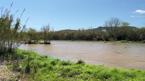 Tordera-river-in-Barcelona,-foreground-with-green-vegetation-and-mountains-with-blue-sky-background,-nature