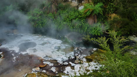 Close-up-shot-of-geothermal-pools-with-boiling-water-surrounded-by-green-nature-of-New-Zealand---Waimangu,-Volcanic-Valley