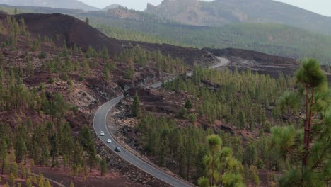 Cars-driving-on-curved-road-through-volcanic-pine-forest-landscape,-Teide-Tenerife
