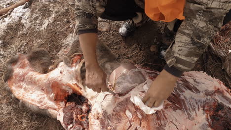 Hunter-Animal-Slaughter-Outdoors.-Extracting-Deer-Meat