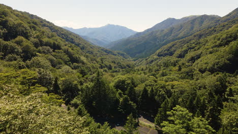 Antena-Sobre-árboles-Y-Montañas-En-La-Zona-Rural-De-Shikoku,-Japón