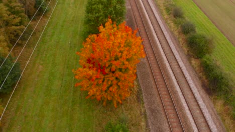 A-red-autumn-tree-near-the-railroad-tracks