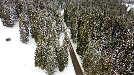Drohnenblick-über-Die-Straße-Und-Den-Wald,-Die-Mit-Schnee-Bedeckt-Sind-Und-In-Den-Bergen-Schneien