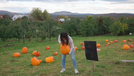 Scenic-shot-of-an-attractive-young-Asian-woman-picking-up-a-pumpkin-in-a-field