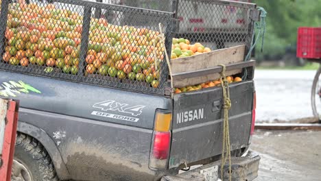 vintage-nissan-truck-fully-loaded-with-oranges