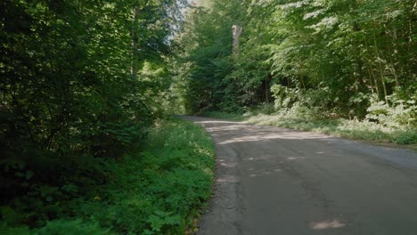 Kleine-Kieselstraße-Im-Grünen-Wald-Gyllebo-In-Südschweden-Österlen,-Weitschuss-Nach-Vorne