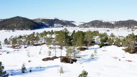 Luftaufnahme-Von-Bäumen-Im-Verschneiten-Land-Tagsüber-Im-Winter-In-Blaheia,-Norwegen