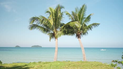 4k-static-shot-of-two-young-coconut-palm-trees-with-tropical-blue-ocean-and-islands-in-the-distance