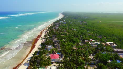 Drone-Aerial-View-Of-Lush-Green-Palm-Trees-And-Nature-Landscape-Near-Yucatan-Beach-In-Tulum-Mexico