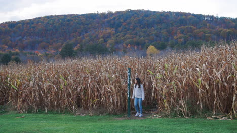 Gorgeous-wide-of-a-young-woman-exiting-a-large-corn-maze