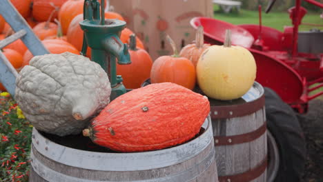 Stunning-shot-of-a-pumpkin-farm