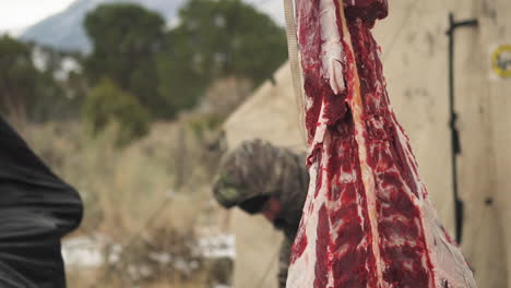 Close-up-of-the-meat-of-the-hunted-buck-being-extracted-in-the-hunting-camp