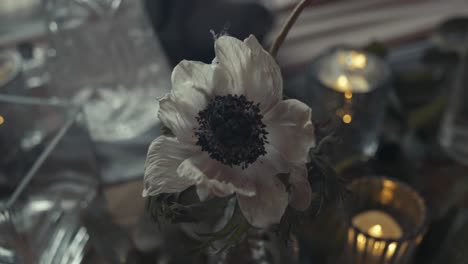 White-drying-flower-on-table-for-decoration-during-wedding-event